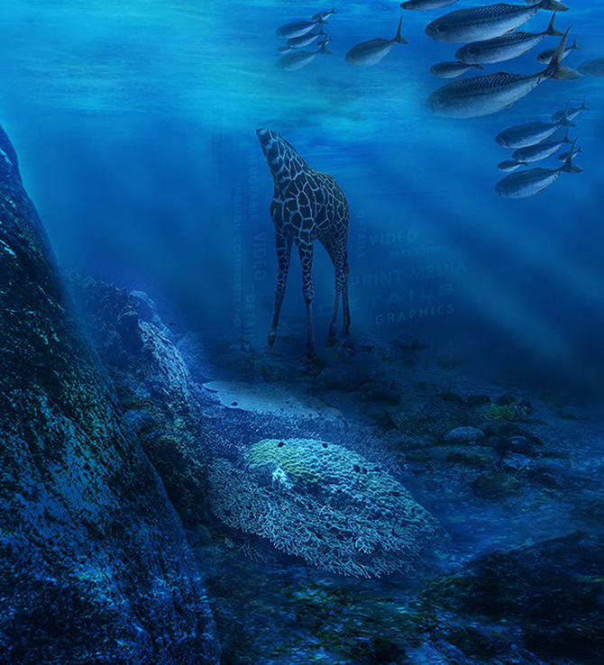 A Creative Flood | Jeff Olson Portfolio of Print & Motion Graphic Design Effects